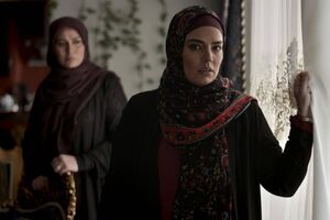 مراحل پایانی تصویربرداری «مرگ خاموش» در جنوب ایران 