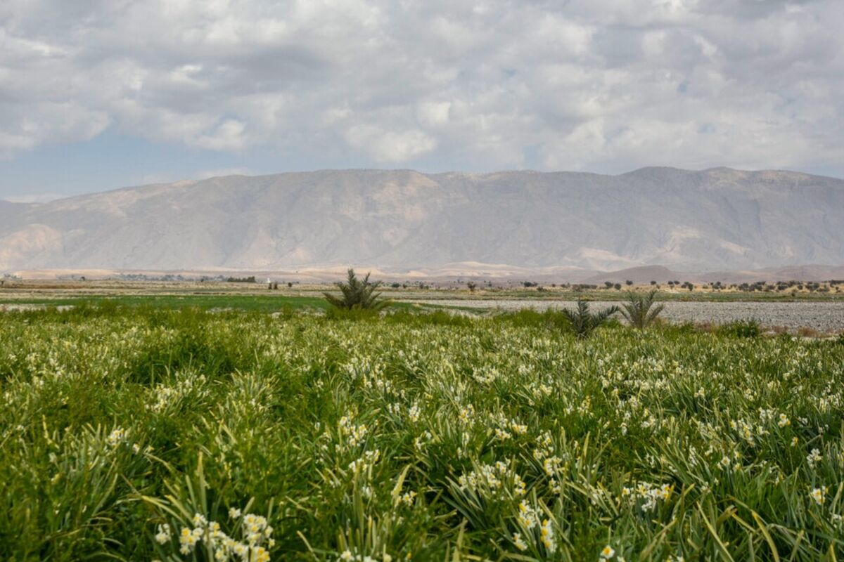 اراضی روستایی