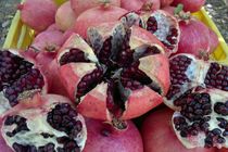 آیا می دانید انار در ترمیم عضلات چه تاثیری دارد؟