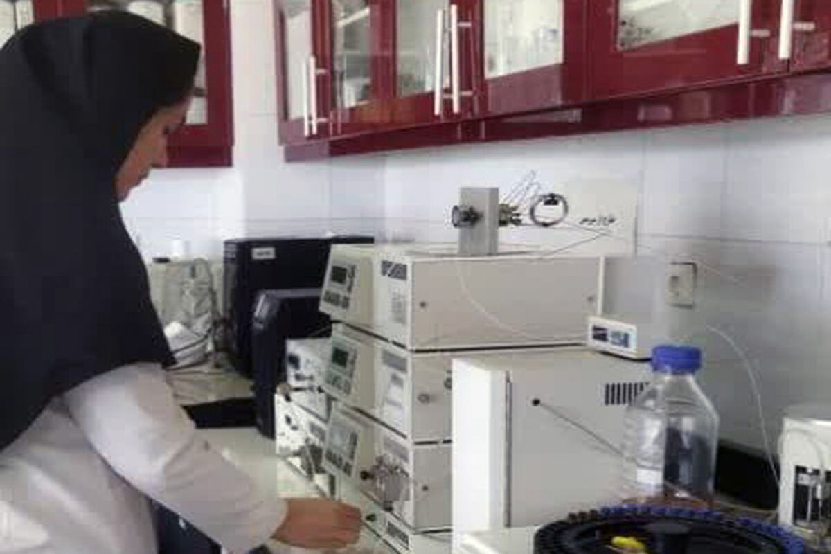 شبکه