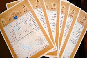 صدور سند برای 16 هزار هکتار زمین کشاورزی نکا