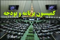تاجگردون رییس کمیسیون برنامه و بودجه شد / انتخاب محبی‌نیا و قوامی در کرسی نواب رییس