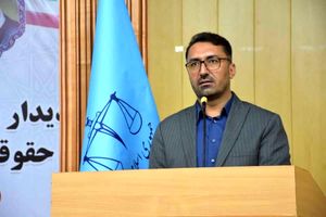 تأکید رئیس کل دادگستری هرمزگان بر جلوگیری از تخلف اصناف