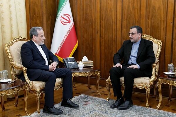 آخرین تحولات جهان اسلام در دیدار نماینده ایران در سازمان همکاری اسلامی با عراقچی بررسی شد