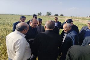 ابعاد و خسارات سیل به بخش کشاورزی اندیمشک بررسی شد