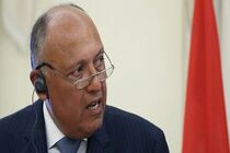 مصر خواستار آتش بس فوری در غزه شد