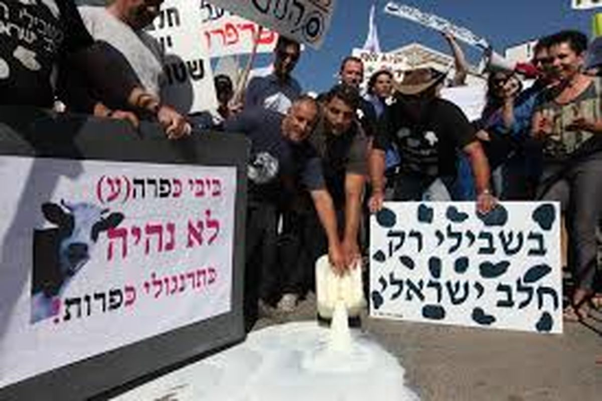 اعتراض دامداران و بحران لبنیات به خیابان‌های اسرائیل کشیده شد