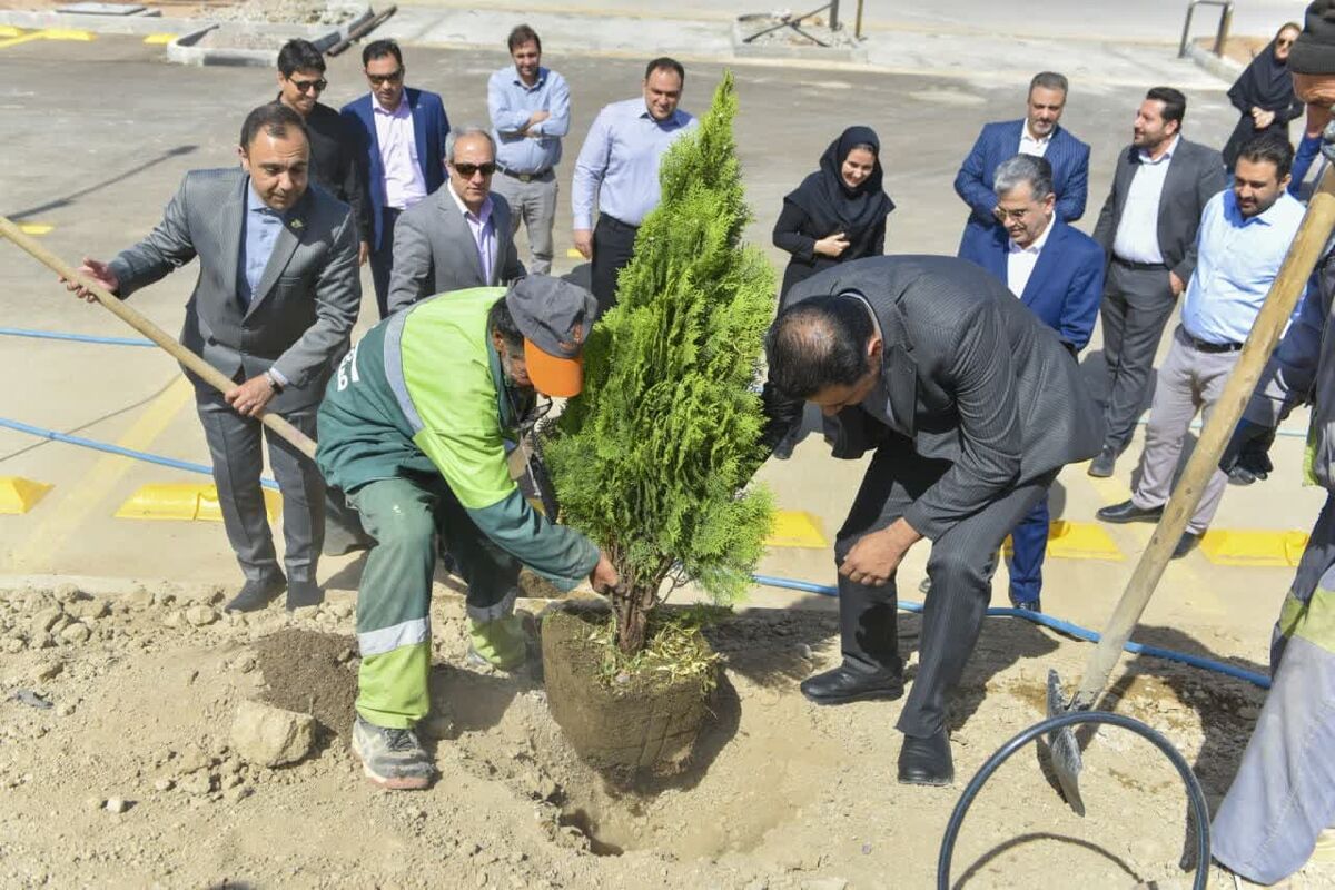 کاشت درخت