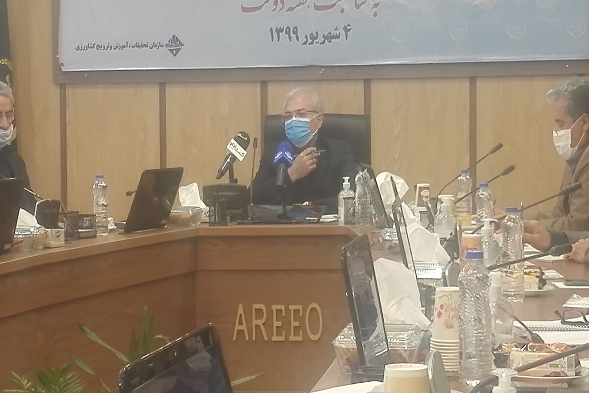 کامبیز بازرگان
