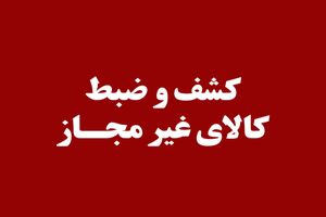 توقیف ۴ هزار و ۱۴۴ قلم کالای غیر مجاز در کازرون