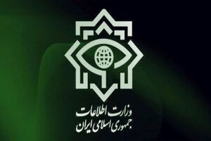 برای برقراری امنیت و آرامش از هیچگونه مجاهدتی دریغ نخواهیم کرد