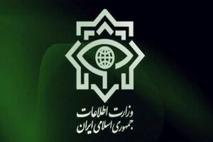 بزرگترین باند مواد مخدر در جنوب کشور منهدم شد