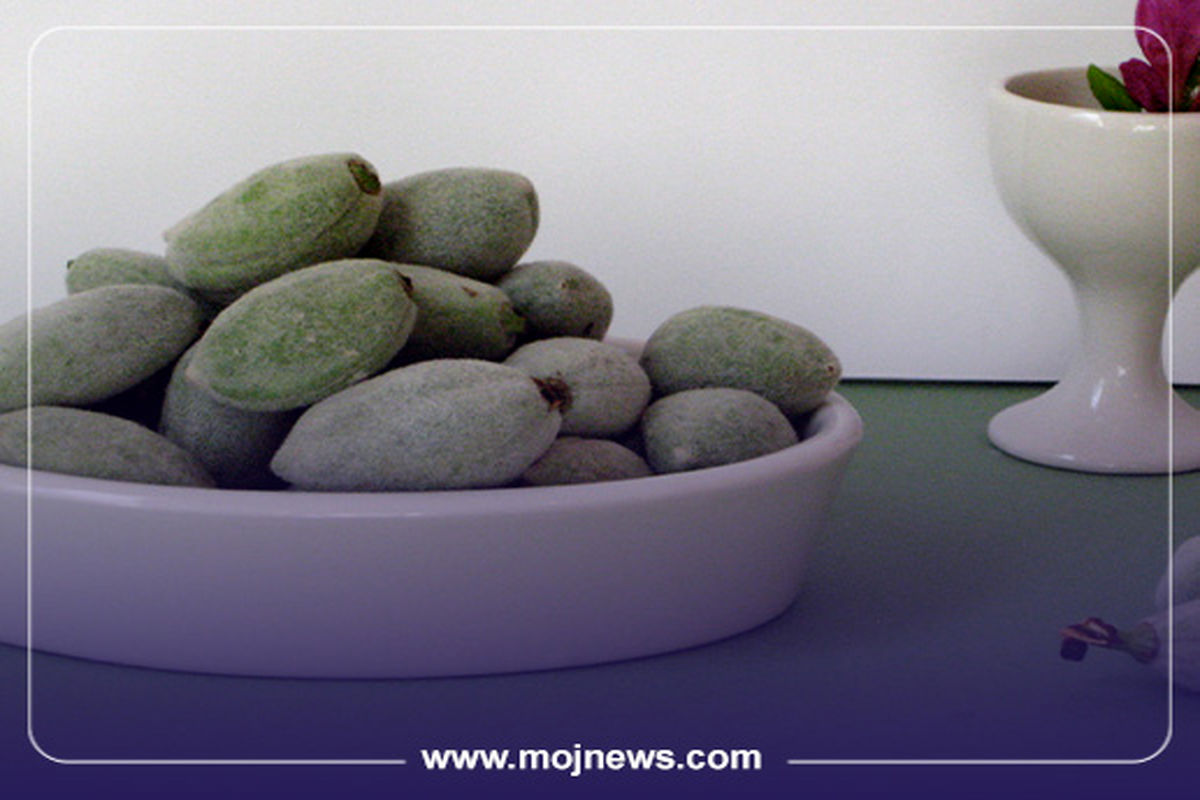 خواص چغاله بادام موج