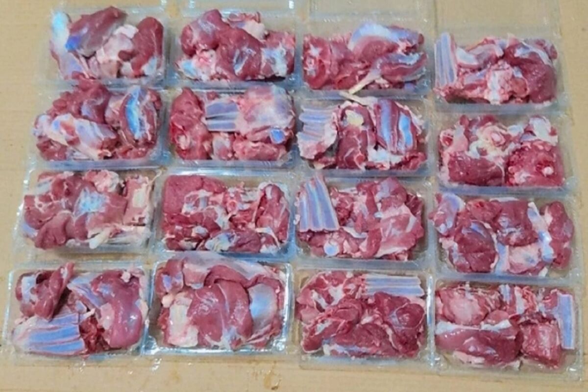 گوشت قربانی 