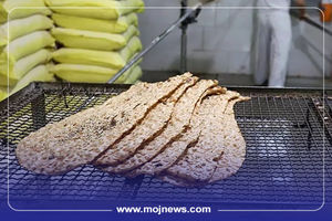 اینفوگرافیک/قیمت انواع نان در تهران چقدر افزایش داشته است؟