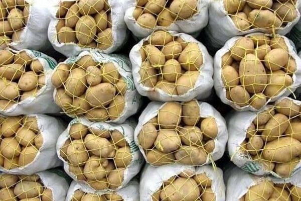 عرضه مستقیم سیب‌زمینی وارداتی با قیمت مصوب در میادین و محلات پر رفت‌وآمد