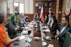 نشست هم اندیشی فعالان نمایش عروسکی و دبیرخانه جشنواره نمایش عروسکی مصرف بهینه برق