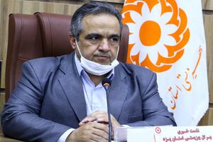 بیشترین معلولان حاصل سوانح هستند/ مناسب سازی خودروی معلولان در دستور کار است