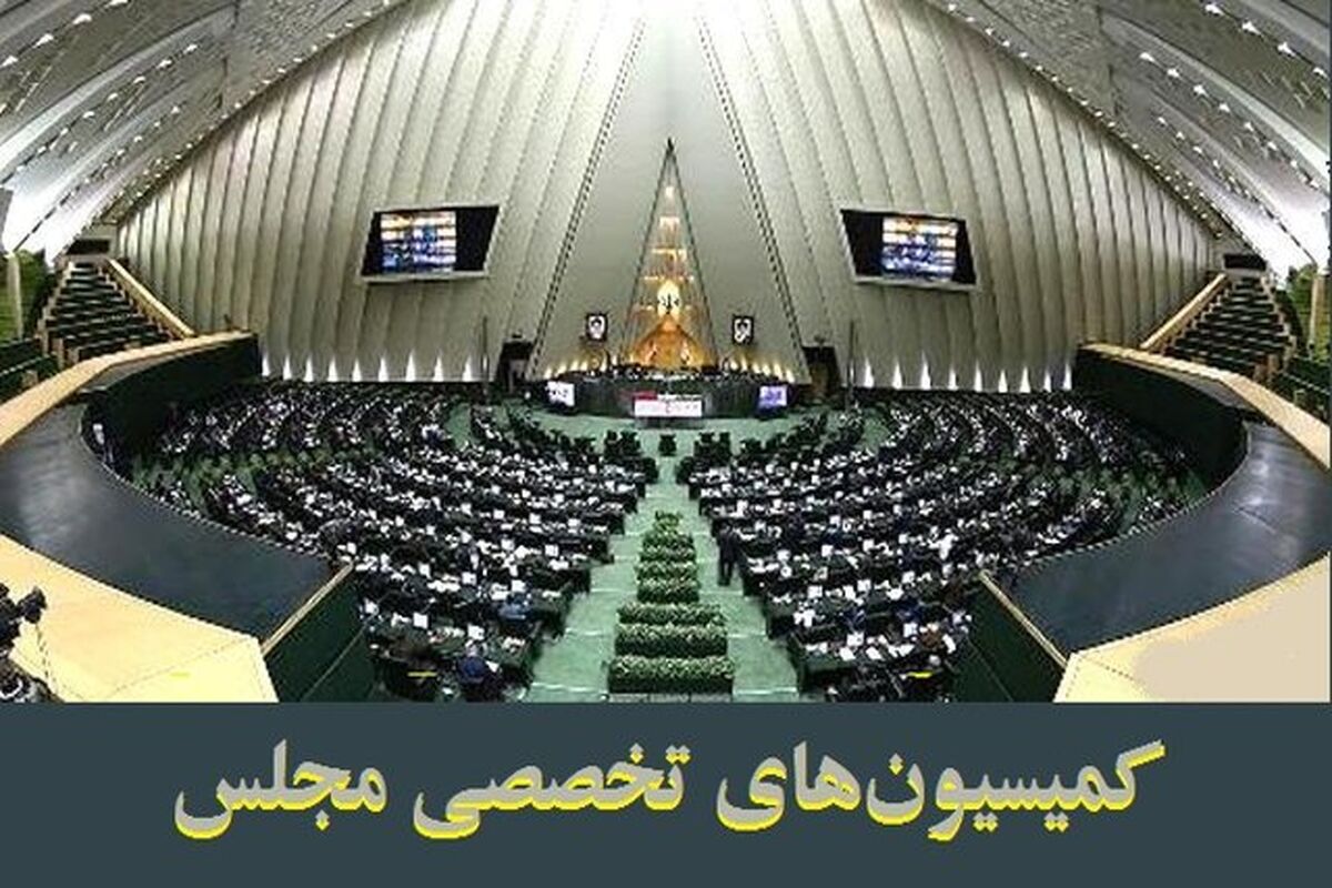 کمیسیون‌های تخصصی مجلس