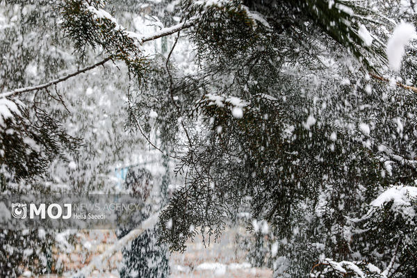 برف و باران تا چهارشنبه مهمان اکثر استان‌ها است