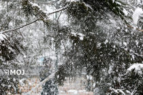 بارش پراکنده برف و باران در اغلب نقاط کشور ادامه دارد