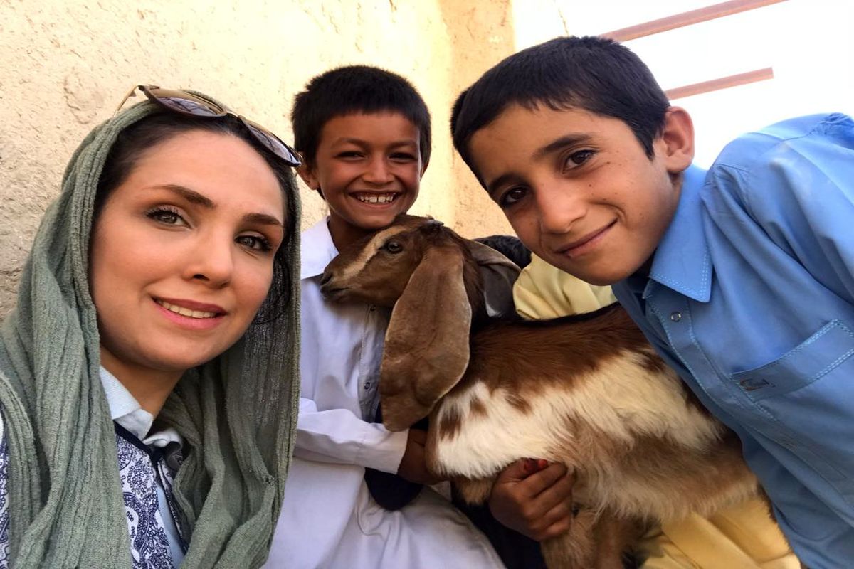 آی تای شکیبافر