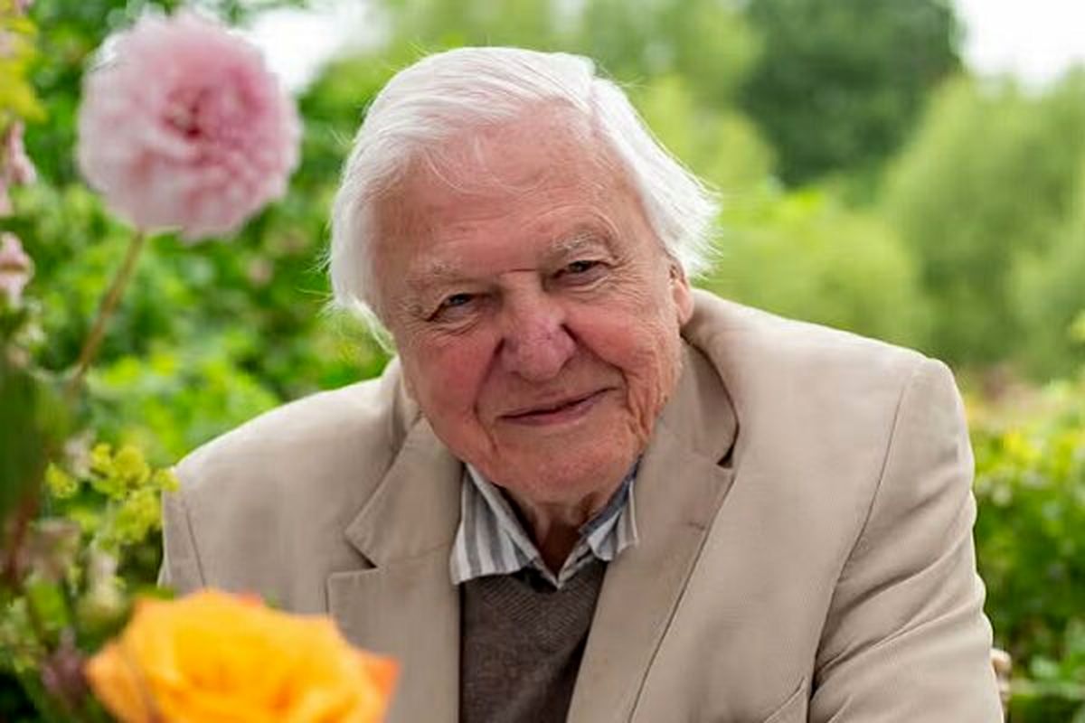 سِر دیوید آتنبرو مستندساز 