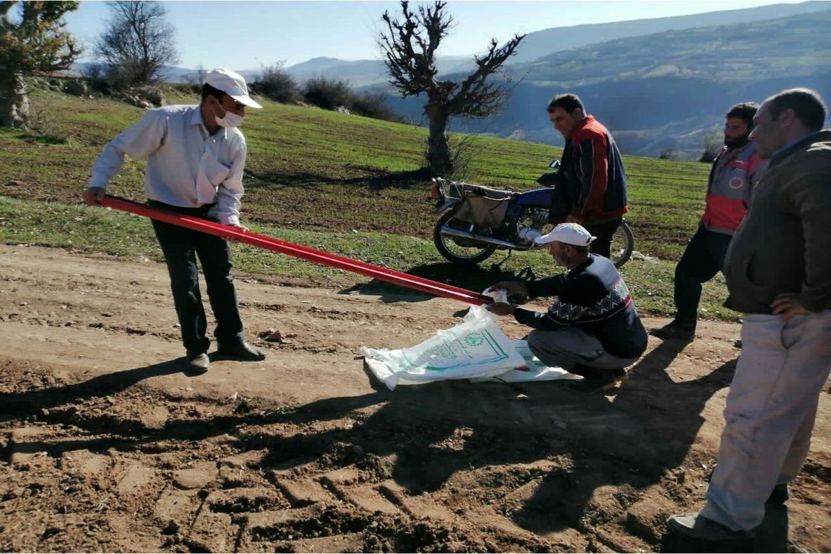 دیمزار گلوگاه