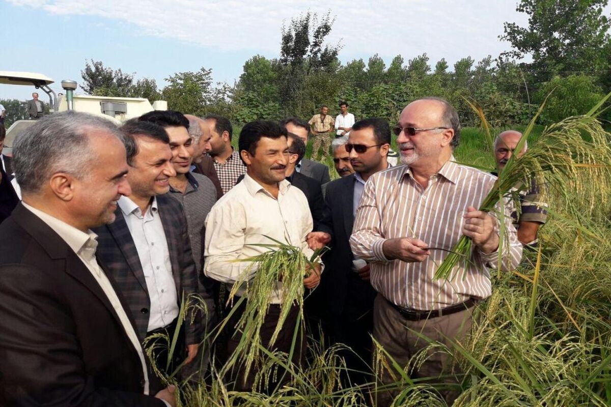 استاندار گیلان