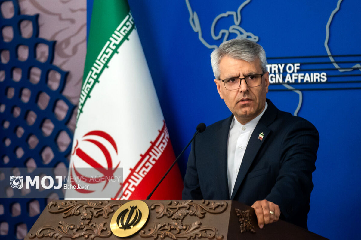 نشست خبری سخنگوی وزارت امور خارجه