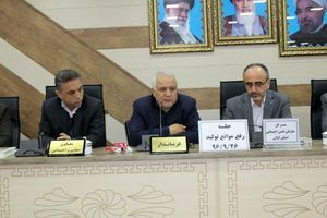 پالت سازی یکی از منابع بزرگ شهرستان تالش نیاز به حمایت دارد