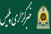 وبگاه خبرگزاری پلیس مرجع رسمی اطلاع‌رسانی فراجا است