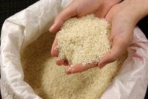 اهدای ۴۰ تن برنج توسط یک خیر به منظور تامین سبد غذایی خانواده ها