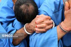  موبایل‌قاپ خشن در فرمانیه تهران بازداشت شد