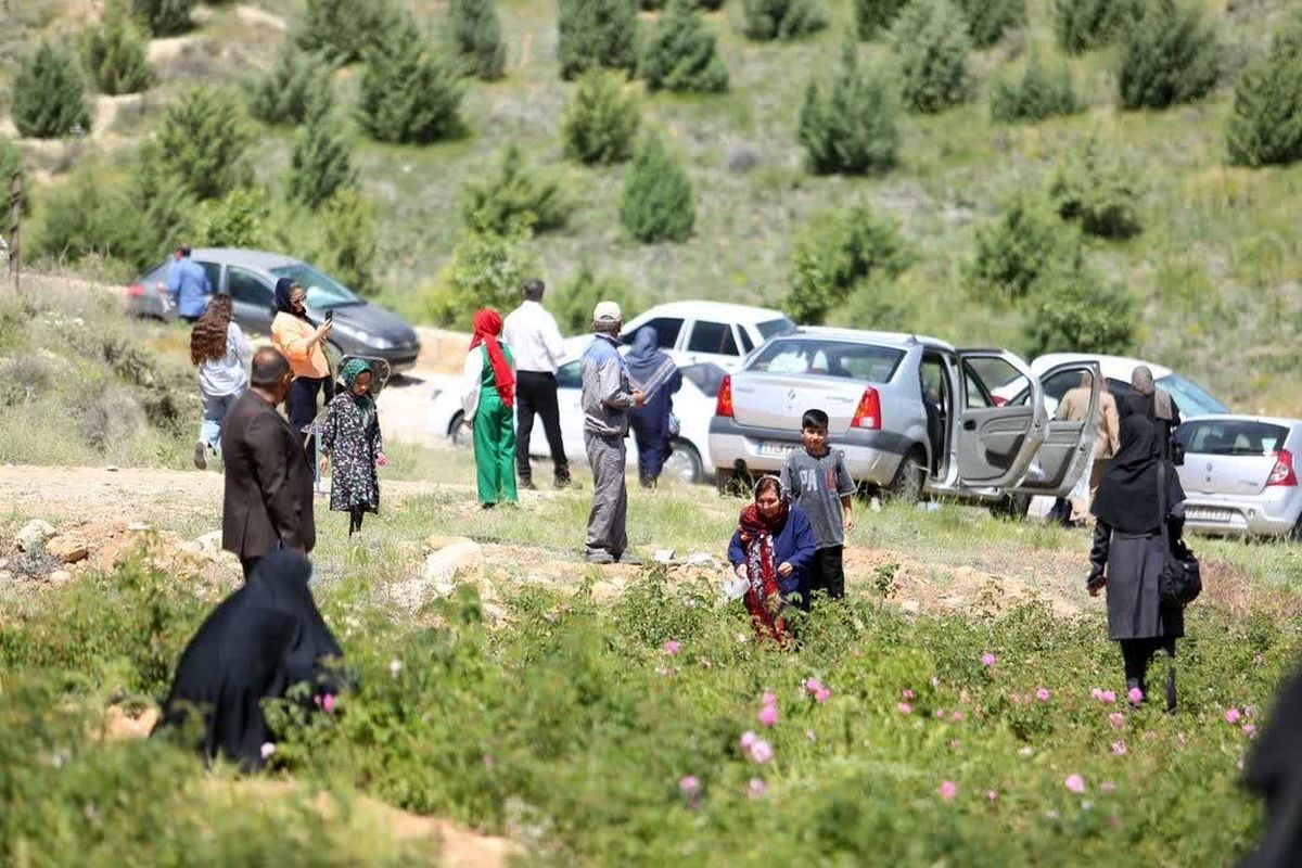 بوستان دراک 