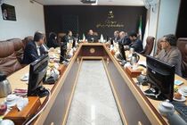 سازمان بازرسی درباره تعهدات خودروسازان در طرح جوانی جمعیت توضیحاتی داد 