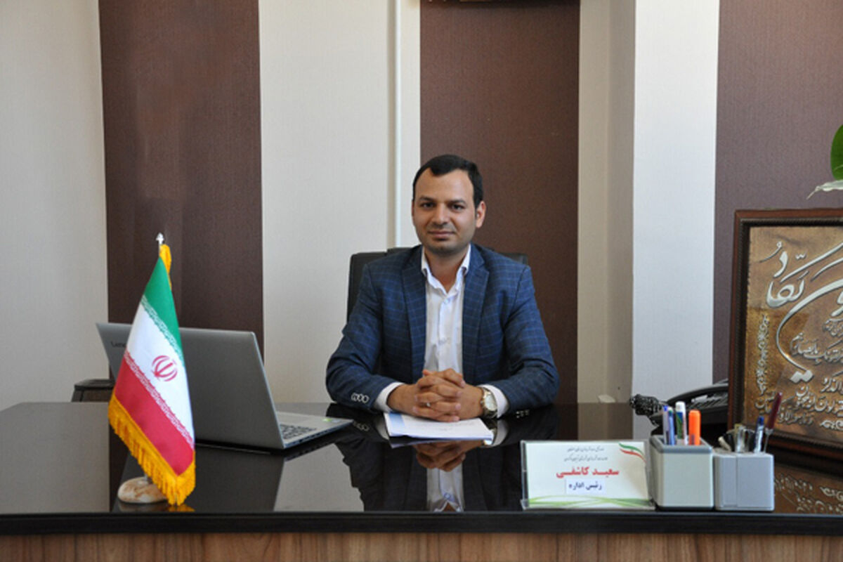 سعید کاشفی