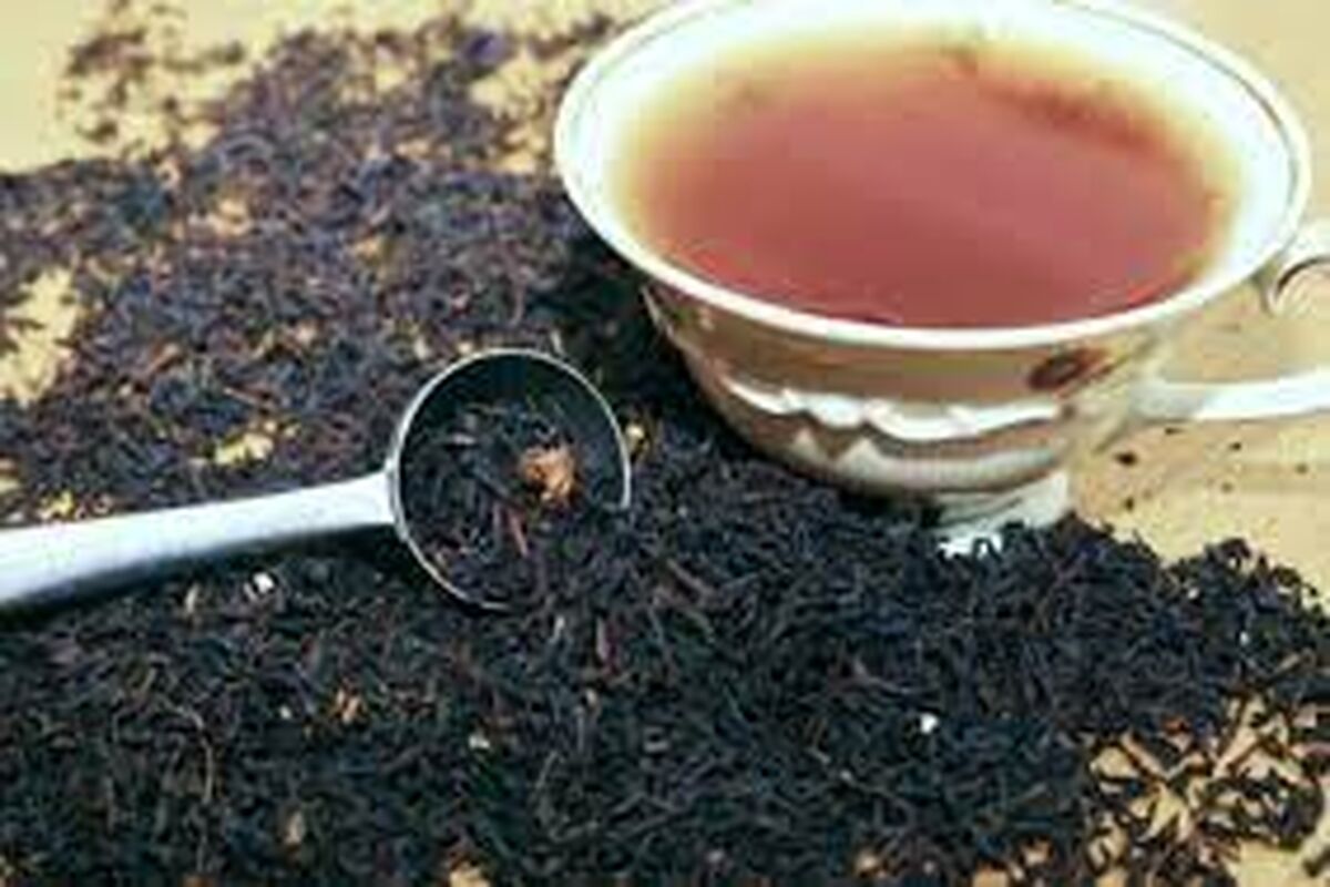 تولید چای