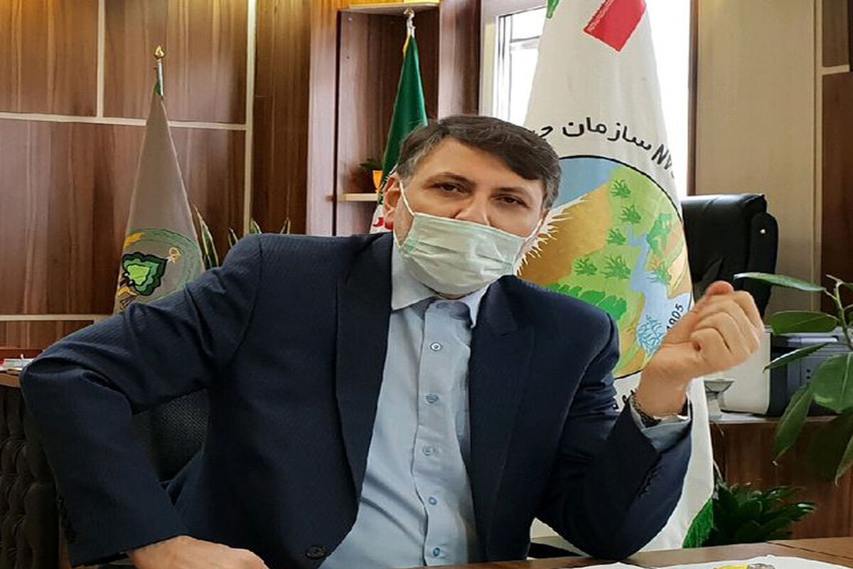 حسن قاسم زاده مدیرکل منابع طبیعی و آبخیزداری استان قزوین