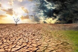 کانون گرد و غبار ابرها را عقیم و نابارور  می کند