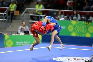 برگزاری مسابقات ووشوی جام صلح و دوستی