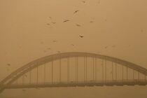 علت انتشار دود در اهواز آتش سوزی نیزارهای هورالعظیم عراق است/انجام مکاتبه با عراق جهت ارسال بالگرد اطفای حریق