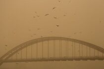 علت انتشار دود در اهواز آتش سوزی نیزارهای هورالعظیم عراق است/انجام مکاتبه با عراق جهت ارسال بالگرد اطفای حریق