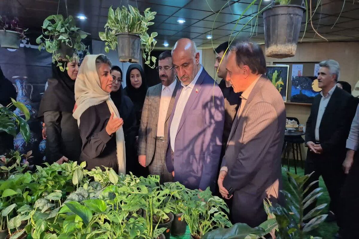 فنی و حرفه ای فارس