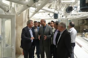 راه‌اندازی مجتمع‌های نان پیشرفته، نیاز غیرقابل چشم‌پوشی کلانشهر کرمانشاه