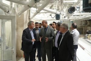 راه‌اندازی مجتمع‌های نان پیشرفته، نیاز غیرقابل چشم‌پوشی کلانشهر کرمانشاه