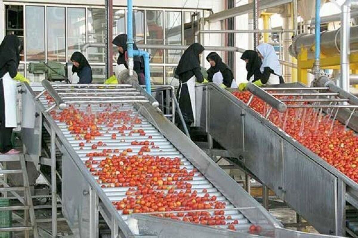 صنایع تبدیلی