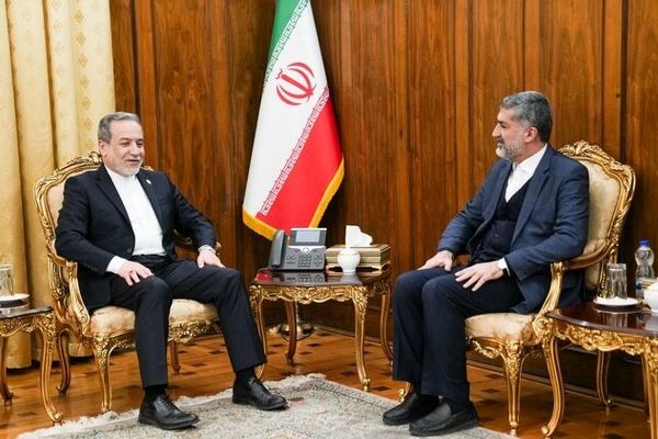 سرکنسول ایران در نجف اشرف با عراقچی دیدار کرد