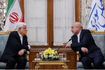 معاون اول رئیس‌جمهور با رئیس مجلس شورای اسلامی دیدار کرد