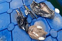 دستگیری 35 متخلف شکار و صید در مازندران